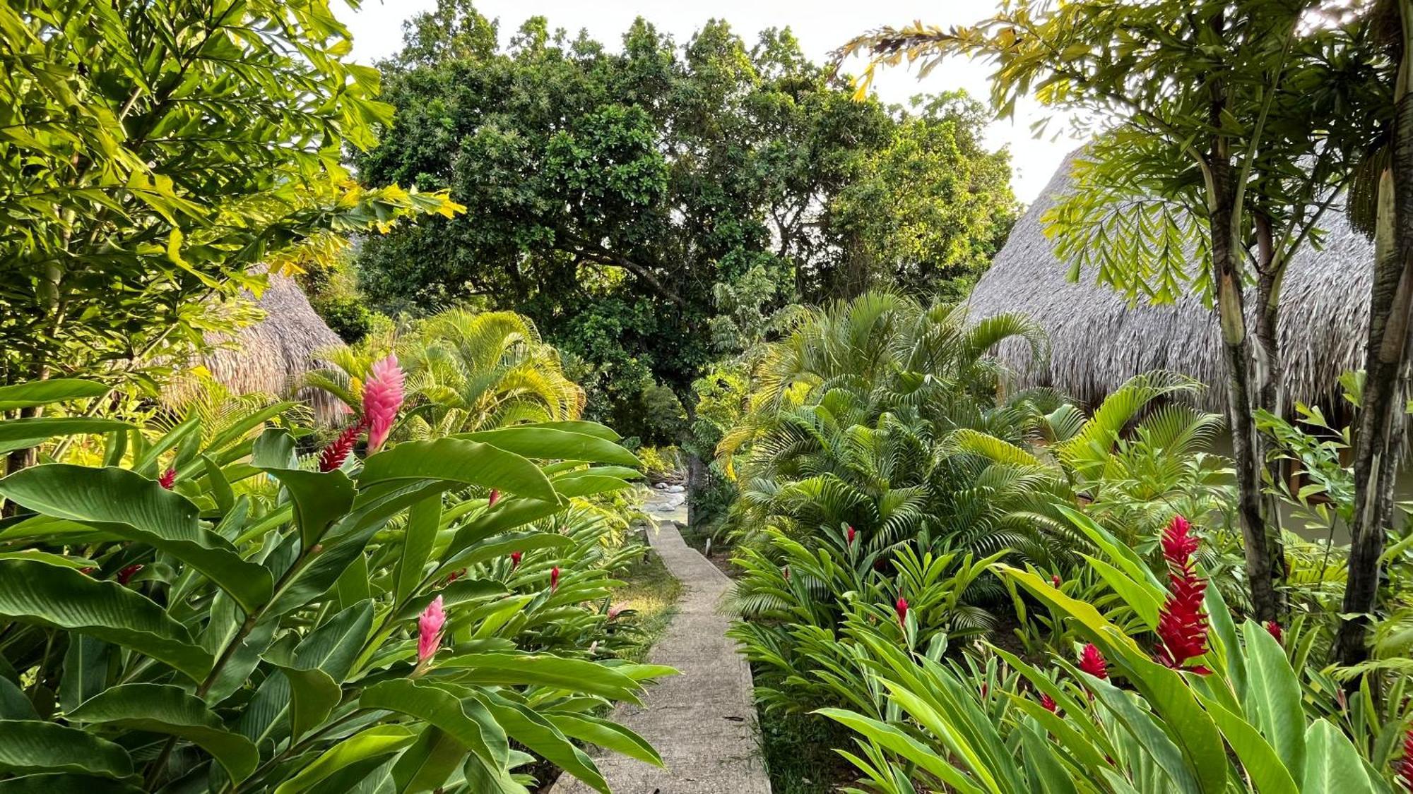 Senda Watapuy Hotel Ел Заино Екстериор снимка A path at the resort