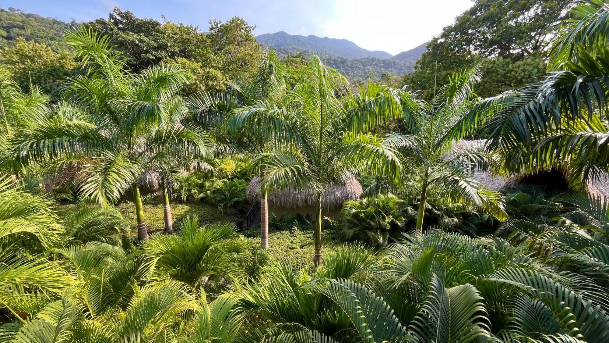 Senda Watapuy Hotel Ел Заино Екстериор снимка The Palm House